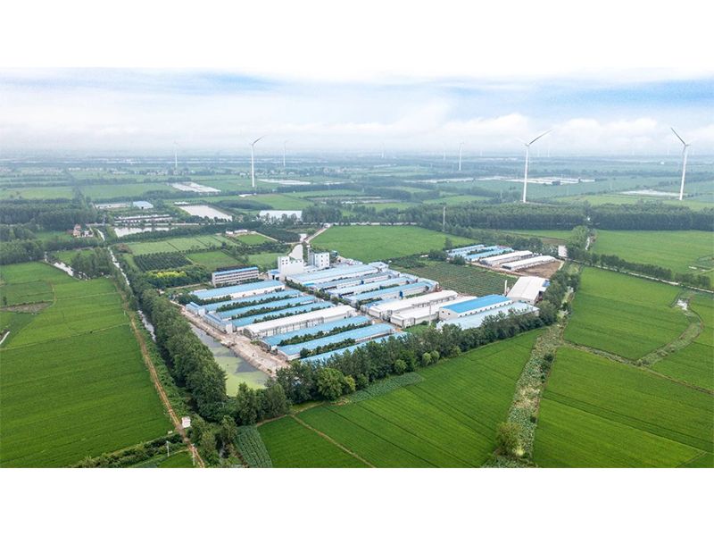 2023年中央一號文件出爐，畜禽產(chǎn)業(yè)應(yīng)抓住哪些新機遇？
