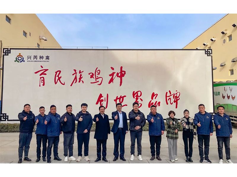 參觀學(xué)習(xí)促進步 交流合作贏發(fā)展︱卓一牧業(yè)赴興芮種禽、峪口禽業(yè)與瑞普生物參觀訪學(xué)