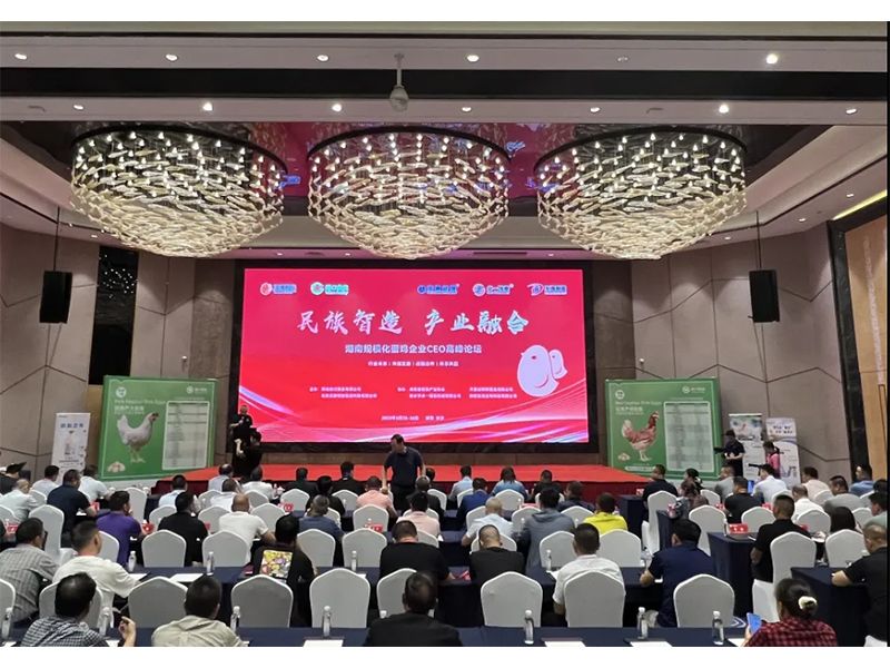 熱烈祝賀湖南規(guī)?；半u企業(yè)CEO高峰論壇取得圓滿成功！