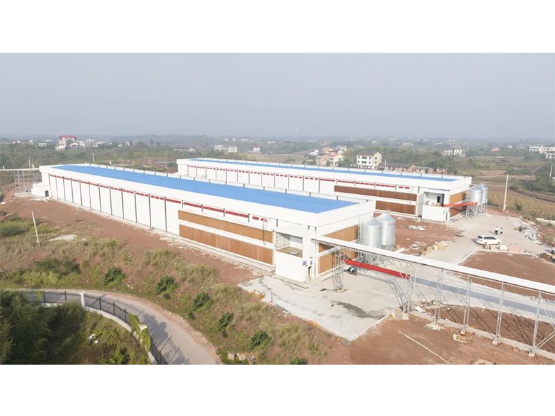 熱烈祝賀西南地區(qū)300萬羽蛋雞養(yǎng)殖基地驗收成功，上雞大吉！