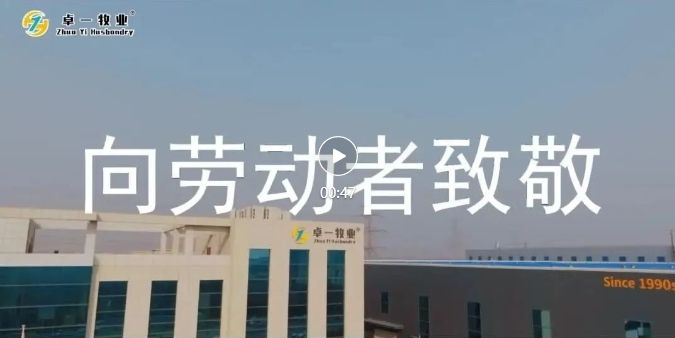 五一勞動節(jié) | 致敬每一個(gè)努力奮斗的卓一人